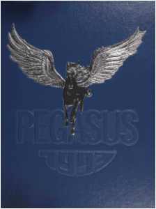 Pegasus Yearbook 1993